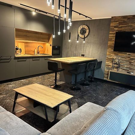 Plazowa Gray Apartament Щирк Экстерьер фото
