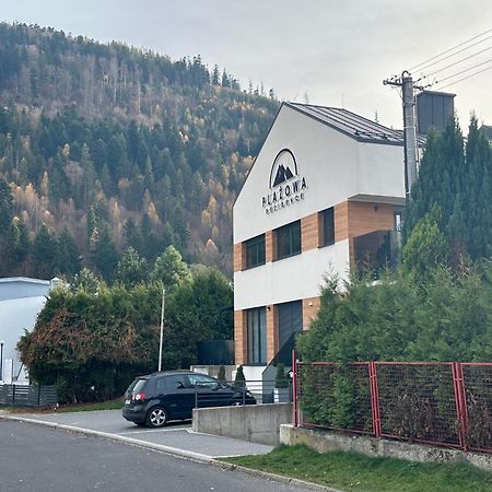 Plazowa Gray Apartament Щирк Экстерьер фото